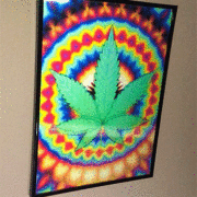 ezgif-5-29cdb6b9a6dc